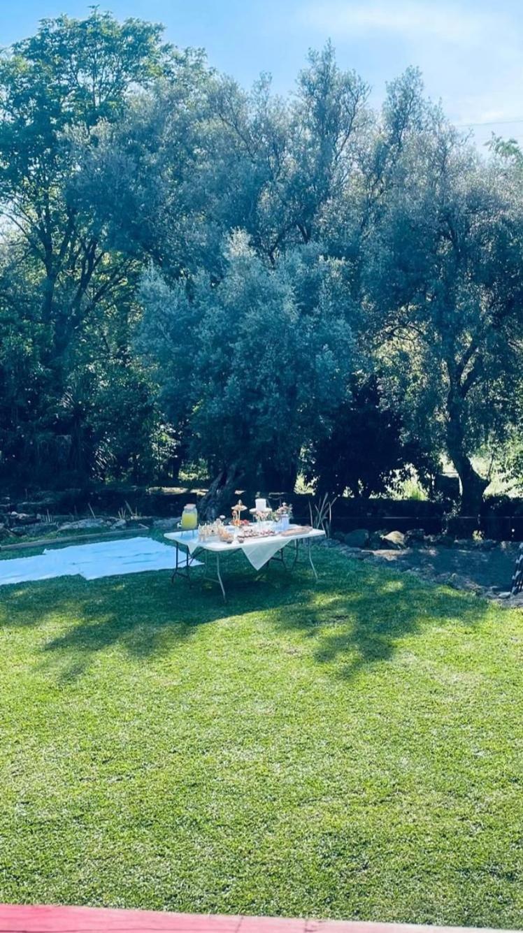 Casa Nova Das Oliveiras Braga Kültér fotó